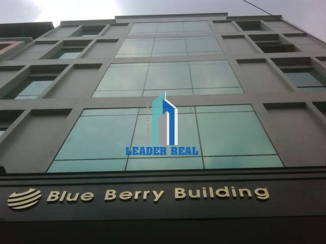 Hình ảnh của tòa nhà Blue Berry Building